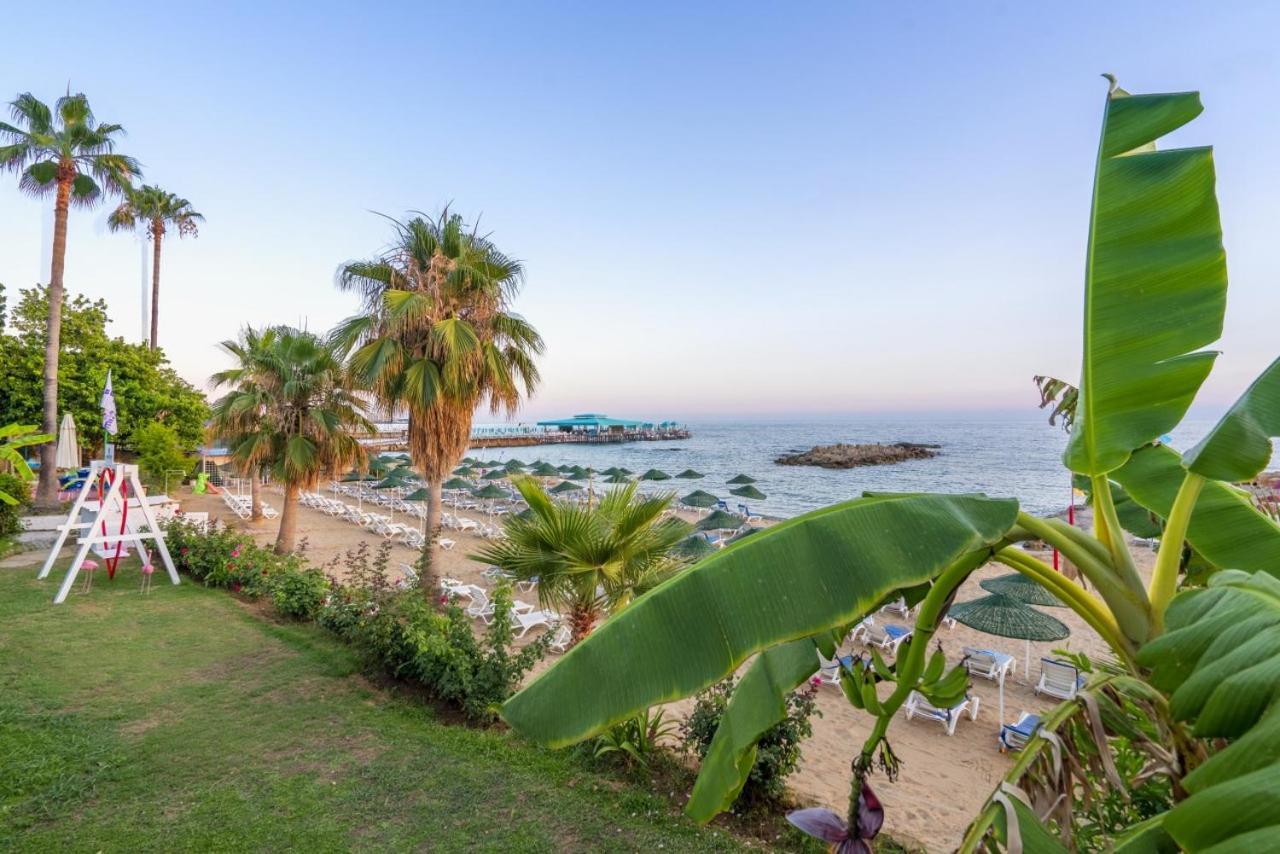 Ramira Beach Hotel Avsallar Zewnętrze zdjęcie
